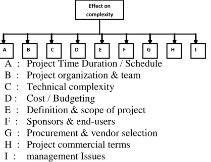 Figure 1: Effect of various criterions on project complexity hierarchy.  