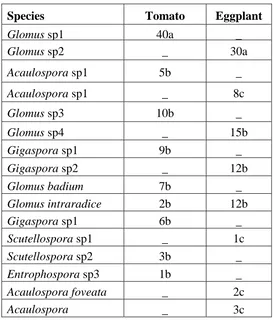 Table 6. Isolation frequency (%) endomycorrhizal species from the rhizosphere of 