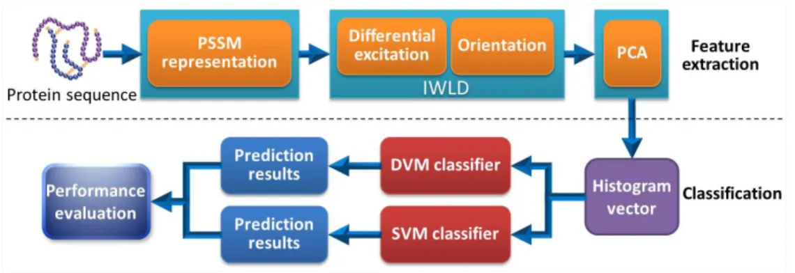 Figure 6: Sobel operators used in the improved WLD (IWLD).