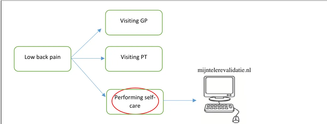 Figure 4 Overview of the three pathways for care seeking based on the CDSS concept 