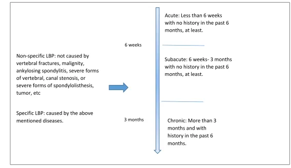 Figure 2 Classification of low back pain 