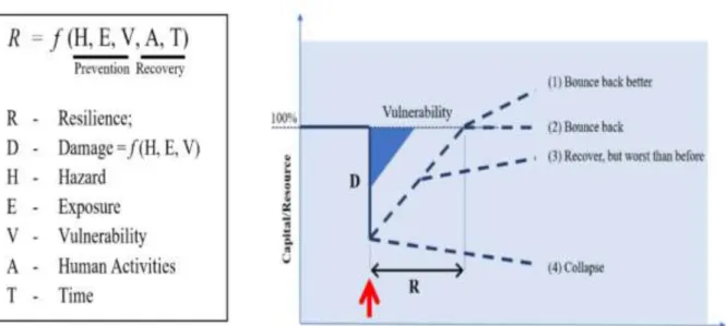 Figure  2  shows  resilience  towards  disaster  in  lifeline  model 1,6,8,19 . The grey shaped triangle on the right represents  the  ideal  situation  for  disaster  resilient  progress  where  the  vertical  axis  shows  the  implementation  of  prevent