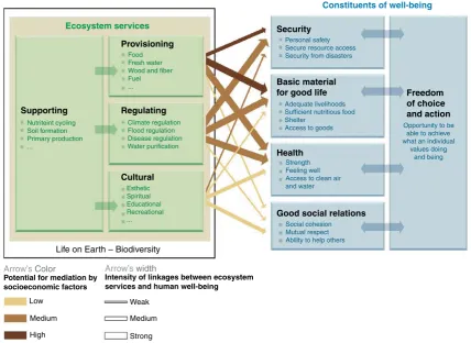Figure 2Consequences of ecosystem change for human well-being. Source: Millennium Ecosystem Assessment.
