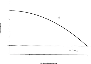 Figure 2.1: An example of a human capital production function and child labour. 
