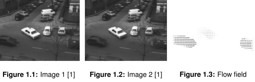 Figure 1.1: Image 1 [1]