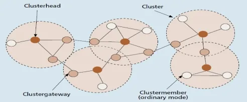 Figure 1 Cluster structure 