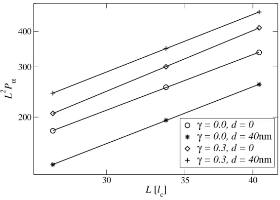 Figure 5.4: Power-law fit of the system size dependence of P α at B = 3T according to