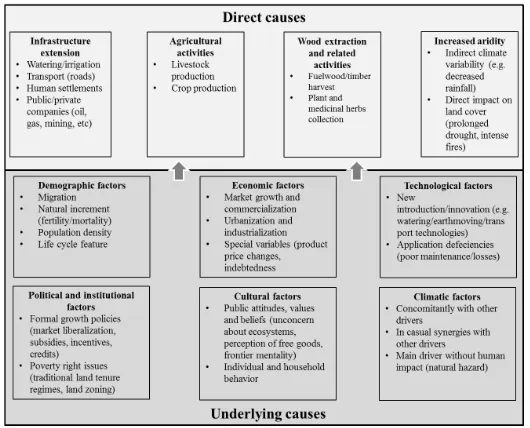 Figure 6. Drivers of Land Desertification (Geist and Lambin 2004) 