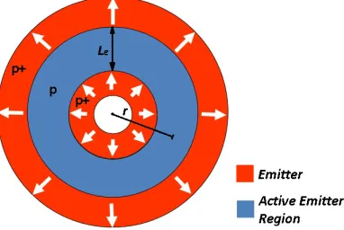 Fig. 2: The basic structure of the total p region.