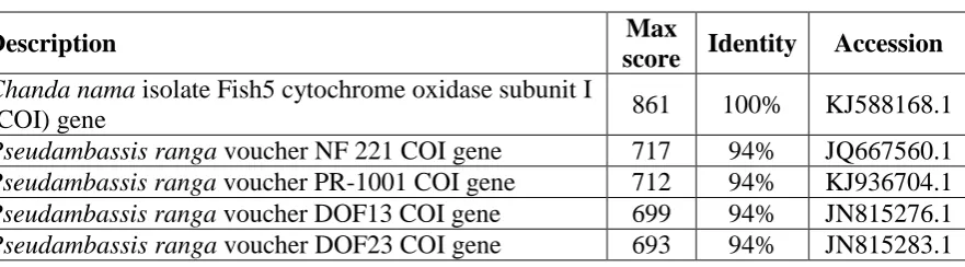 Figure 1: COI gene sequence for the unknown fish. 