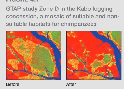 FiguRE 4.7Discussions with the logging company about the Goualougo Triangle led to identification of other important conservation 
