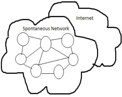 Figure 2: Spontaneous Network 