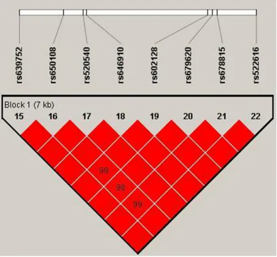 Figure 1: We used the parameters r2 and D′ to analyze the linkage disequilibrium (LD) of the SNPs on MMP-3