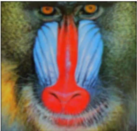 Figure 11. Image B-B Enhanced Using the Bilinear Interpolation Technique. 