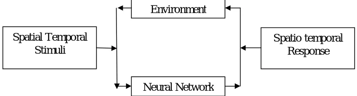 Figure 1 Spatio temporal Neural Network Paradigm  