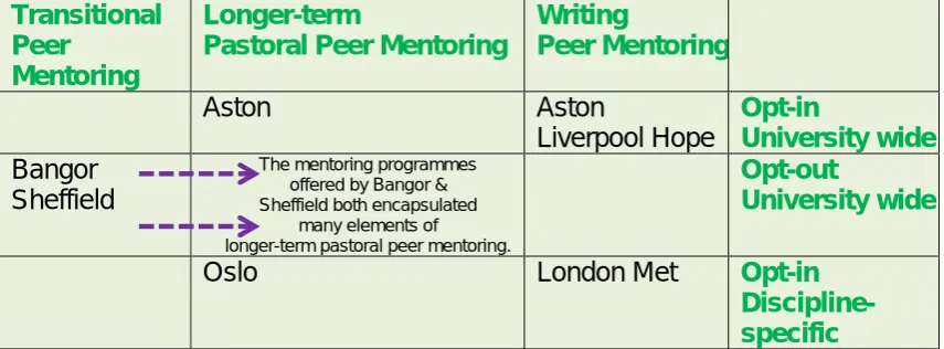 Figure 3: Approaches to peer mentoring identified at the beginning of the 