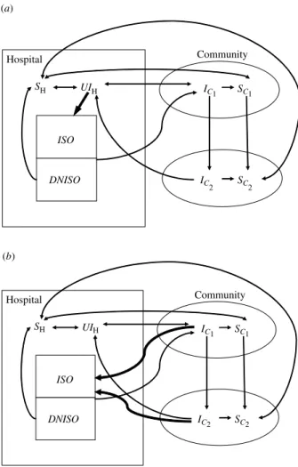 Fig. 1. Schematic diagram of the model for both screening strategies. See text for symbol deﬁnitions