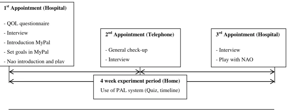 Figure 4. Timeline of the total experiment.  