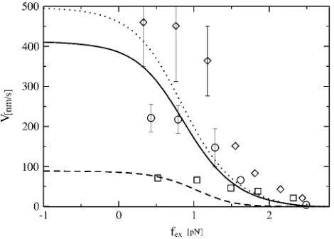 FIGURE 5Predictions of velocity of myosin-V as a function of ADP,ATP, and Pi concentration that arise from our optimized (best) model withparameter values as shown in Table 1 (and used in all subsequent ﬁgures)