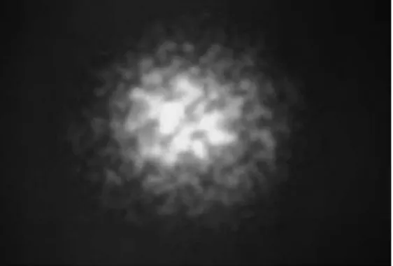 Figure 1Speckle pattern (distribution of light intensities) [2]  
