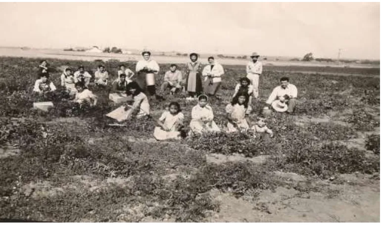 Figure 3. Salinas Apostólicos Harvesting: Members of the Salinas Apostolic Assembly church gather for a quasi-staged photo in the mid-1940s