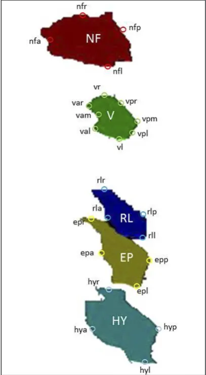 Table 1) according to the levels defined in the 