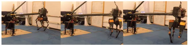 Figure 3: ATRIAS during BO with DoG-based kernel (video: https://youtu.be/hpXNFREgaRA)