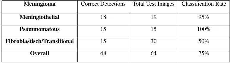 Table 2. Meningiomas Classiﬁcation results.