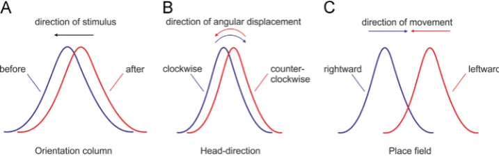 Fig. 3 –for a visual receptive Experience-dependent backward shift signal-encoding of tuning curves