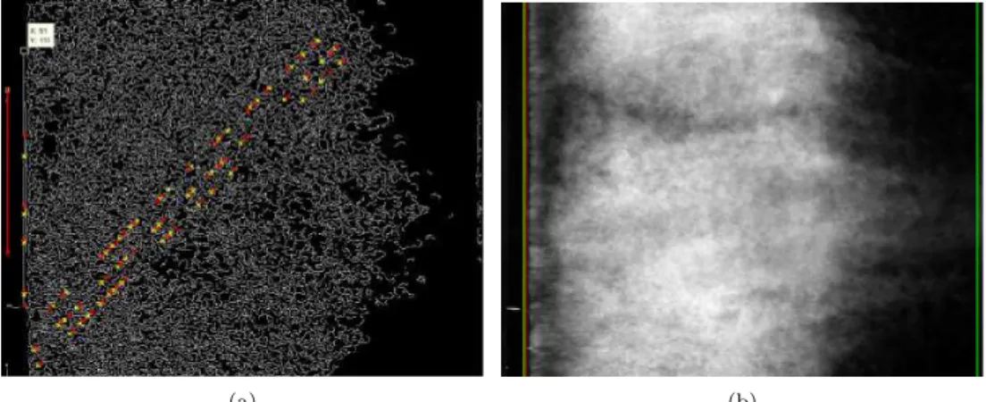 Figure 4.5: Edge detection and edge locations for the top view images