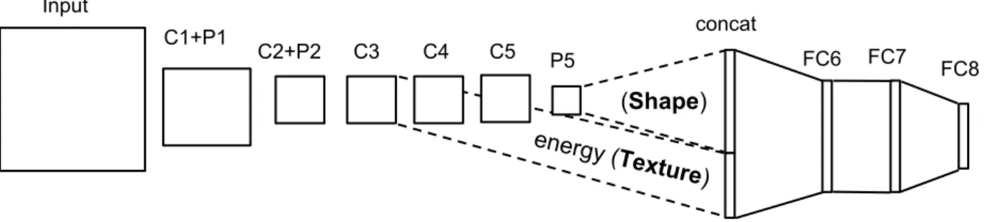 Figure 2: Architecture of the Texture and Shape CNN (TS-CNN-3), integrating T-CNN-3 to a classic CNN.