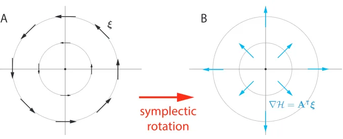 Figure 1: A minimal example of Hamiltonian mechanics. Consider a game where ℓ1(x, y) =xy, ℓ2(x, y) = −xy, and the dynamics are given by ξ(x, y) = (y, −x)