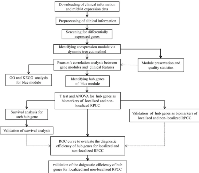 Figure 1: Flow chart of data preparation, processing, analysis and validation in this study.