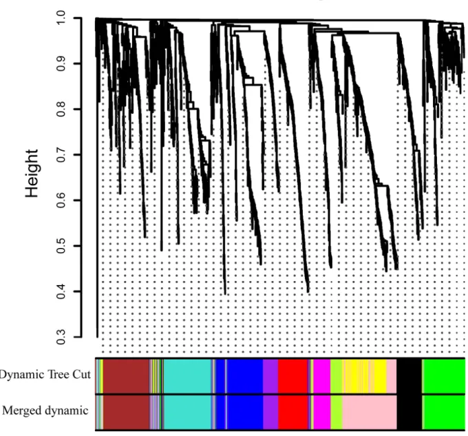 Figure 3: Clustering dendrograms of genes.  Gene clustering tree (dendrogram) obtained by hierarchical clustering of adjacency- adjacency-based dissimilarity