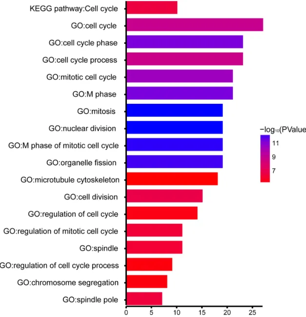 Figure 6: GO functional and KEGG pathway enrichment analyses for genes in the object module