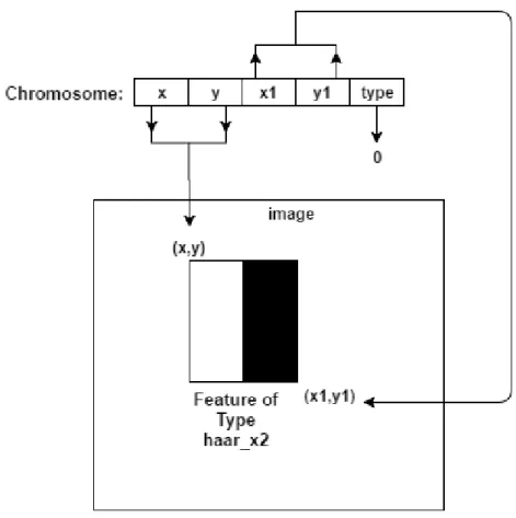 Figure 3-3 Chromosome to feature mapping 