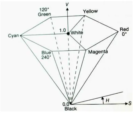 Figure 2 HSV model 