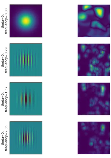 Figure 9 Gabor filter applied on the sample image in Figure 4 