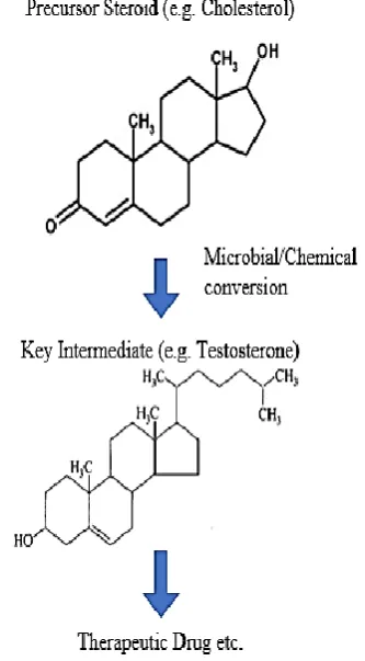 Figure 2: General Scheme for the production of key  intermediates from precursor steroid and finally the production of therapeutically active drug