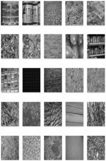 Figure 4: Samples of UMD data set 