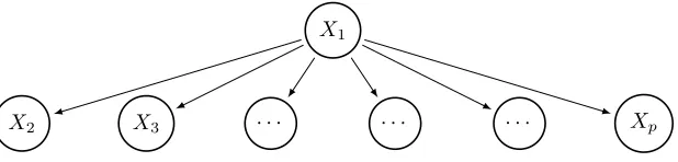 Figure 2: Star graph example
