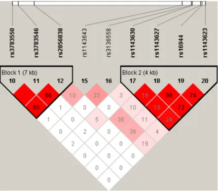 Table  2  summarized  the  minor  allelic  frequency  (MAF)  of  tested  SNPs  among  the  individuals  in  the  case  and  control  groups