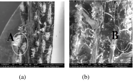 Fig -2: SEM images of the fractured surface of plain GFRP. 