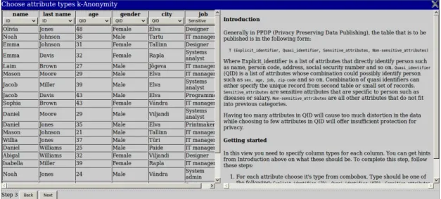Figure 6: Attribute type specification view