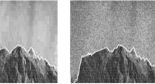 Figure 2.4.: Left: 300x128 Grey-scale picture of a rock taken from a camera with reasonable ISO- ISO-configuration and with focus on the rock