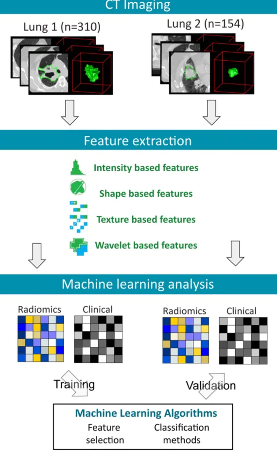Figure 1.  A total of 440 radiomic features were extracted from the segmented tumor regions of the pre- pre-treatment CT images of 464 NSCLC patients