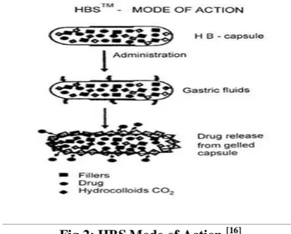 Fig 1: Approaches for Gastro Retention.[14] 