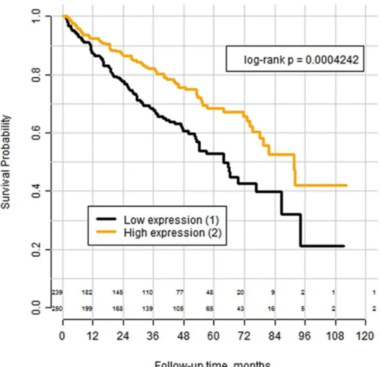 Figure 4: Kaplan–Meyer curves for overall survival of patients with clear cell RCC from the TCGA-cohort (n=489)  after tumor excision, stratified according the mRNA expression of the PLIN2 gene (adipophilin) with the expression  cut-off = 17995 transcript 