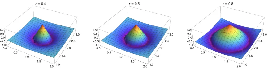 Figure 5: Illustration of a rational hat structure element for ∥·∥2 and various choices of r.