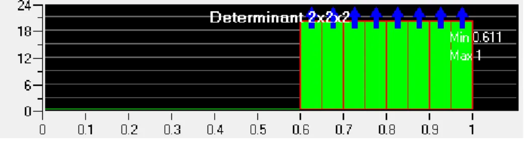 FIGURE 6: 2X2X2 DETERMINANT MESH